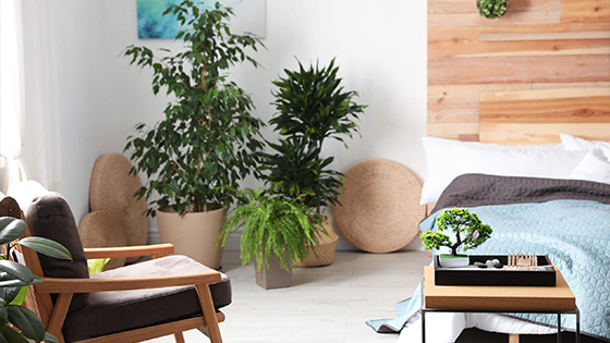 Nápady, ako útulne zariadiť aj malú spálňu podľa Feng Shui