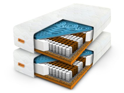 Set matracov Lion 1+1 90x200