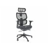 Ergonomická stolička Devon v čiernom
